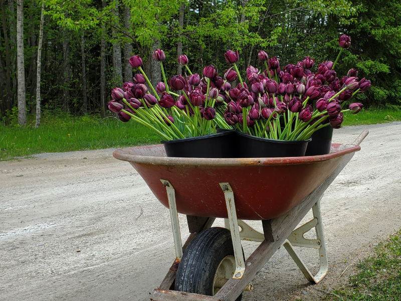 card weekendprojects